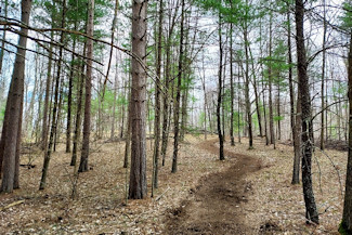 Marinette County Land near Lakes & State Land!