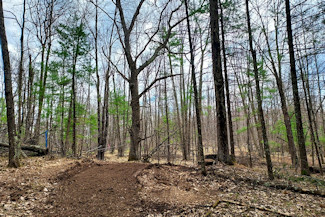 Marinette County Land near Lakes & State Land!
