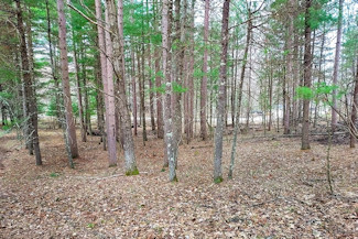 Marinette County Land near Lakes & State Land!