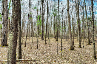 Marinette County Land near Lakes & State Land!