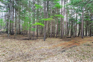 Marinette County Land near Lakes & State Land!