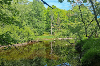 Waterfront Property on the Somo River! Waterfront Property on the Somo River!