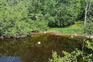 Waterfront Property on the Somo River!