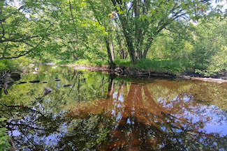 Waterfront Property on the Somo River!