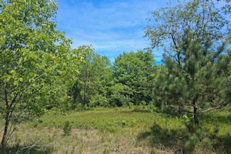 Waterfront Property on the Somo River!