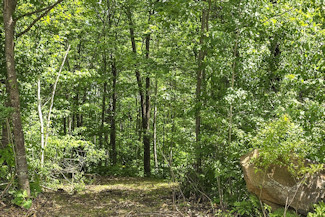 Minong Flowage Area Land For Sale! Minong Flowage Area Land For Sale!