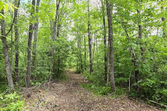 Minong Flowage Area Land For Sale! Minong Flowage Area Land For Sale!