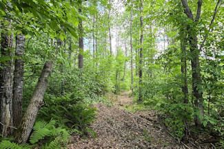 Minong Flowage Area Land For Sale! Minong Flowage Area Land For Sale!