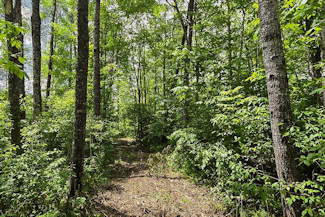 Minong Flowage Area Land For Sale! Minong Flowage Area Land For Sale!