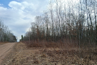 Northwest WI Acreage Near Namekagon River! Northwest WI Acreage Near Namekagon River!