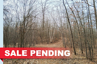 Northwest WI Acreage Near Namekagon River! Northwest WI Acreage Near Namekagon River!