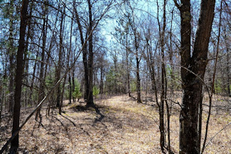1.9 Acres Bordering National Forest!