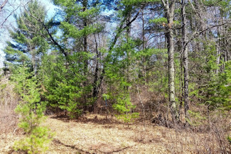Northern WI Land Bordering National Forest!