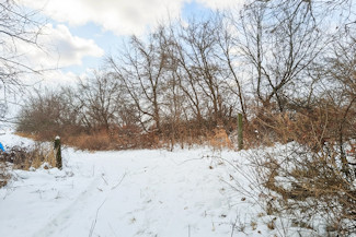 25 Acres in Driftless Region - Valley Views!