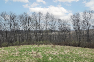25 Acres in Driftless Region - Valley Views!