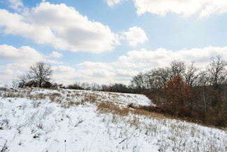 25 Acres in Driftless Region - Valley Views!