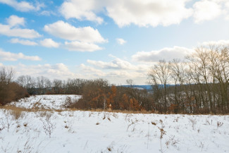 25 Acres in Driftless Region - Valley Views!