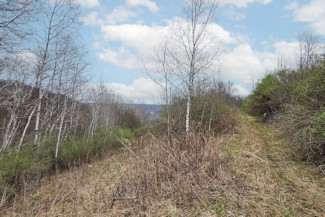25 Acres in Driftless Region - Valley Views!