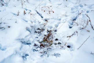 25 Acres in Driftless Region - Valley Views!