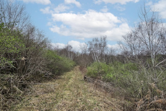 25 Acres in Driftless Region - Valley Views!
