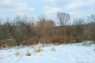 Southwest WI Land in Driftless Region!