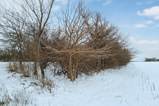Southwest WI Land in Driftless Region!
