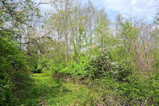 Southwest WI Land in Driftless Region!