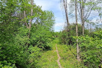 Southwest WI Land in Driftless Region!