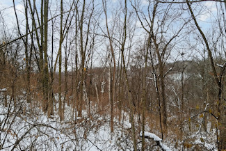 Southwest WI Land in Driftless Region!