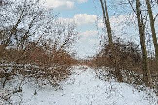 Southwest WI Land in Driftless Region!