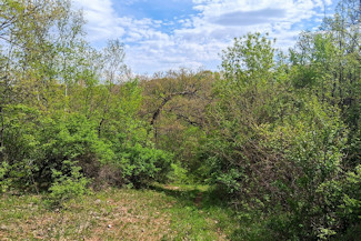Southwest WI Land in Driftless Region!