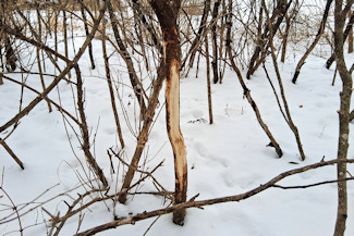 Southwest WI Land in Driftless Region!