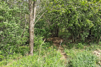 Southwest WI Land in Driftless Region!