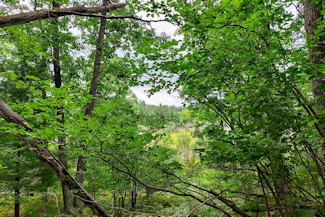 Northeast WI Land near Crivitz, WI!