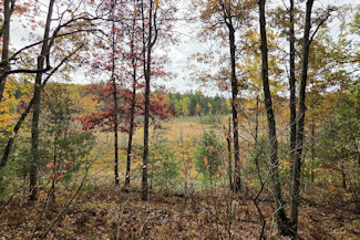 Be the King of the Hill!