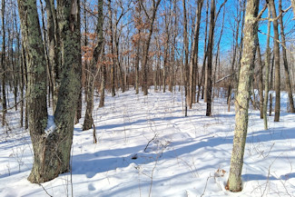 Northwest WI Acreage near Namekagon River!