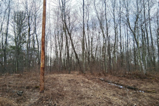 2 Acres Near Trego and Spooner, WI!