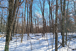 Northwest WI Acreage near Namekagon River!