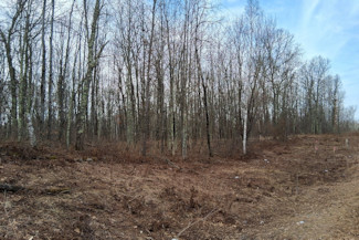 2 Acres Near Trego and Spooner, WI!