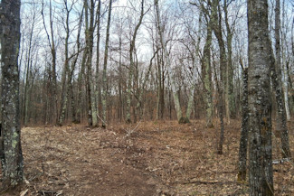 2 Acres Near Trego and Spooner, WI!