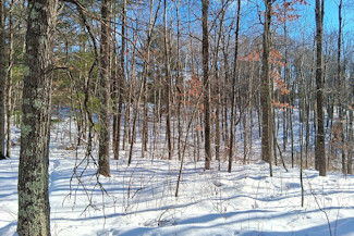 Northwest WI Acreage near Namekagon River!