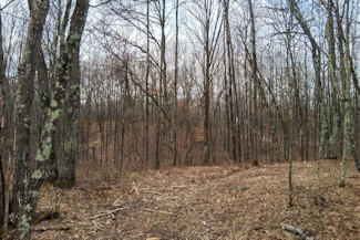 2 Acres Near Trego and Spooner, WI!