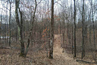 2 Acres Near Trego and Spooner, WI!
