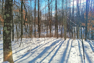 Northwest WI Acreage near Namekagon River!