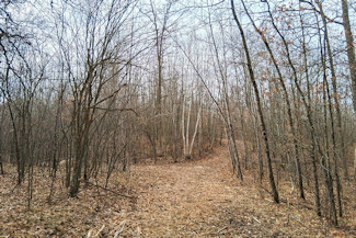 Northwest WI Acreage Near Namekagon River!