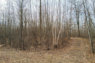 Northwest WI Acreage Near Namekagon River!