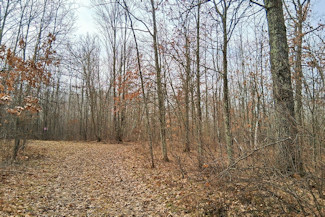 Northwest WI Acreage Near Namekagon River!