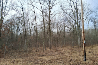 Northwest WI Acreage Near Namekagon River!