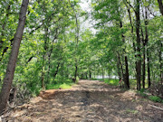 6.5-Acre Lakefront Property with Peninsula - Sparta, WI
