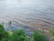 6.5-Acre Lakefront Property with Peninsula - Sparta, WI